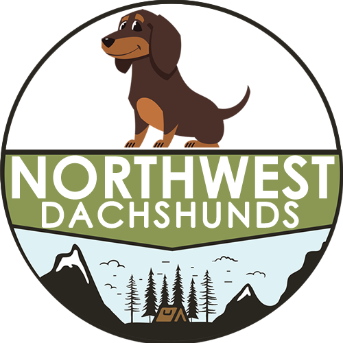 northwest dachshunds